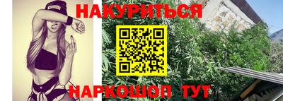 крисы Нарткала