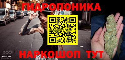 крисы Нарткала