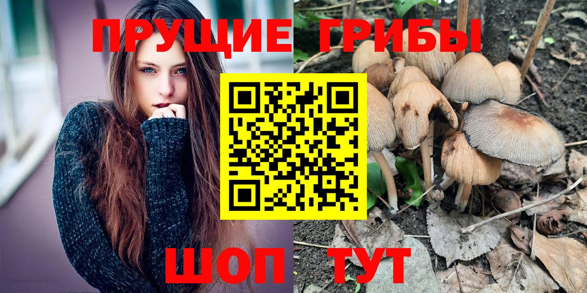 Радужный  цены наркотик  Вход с VPN  Псилоцибиновые грибы мухоморы 